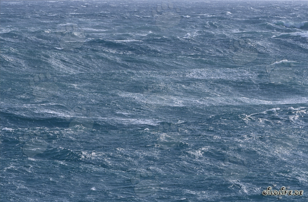 Stormy seas in the South Atlantic
