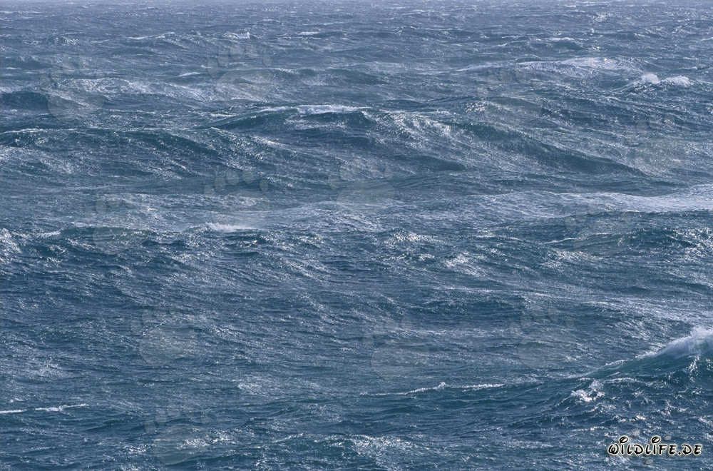 Storm on the Sea at Cape Agulhas