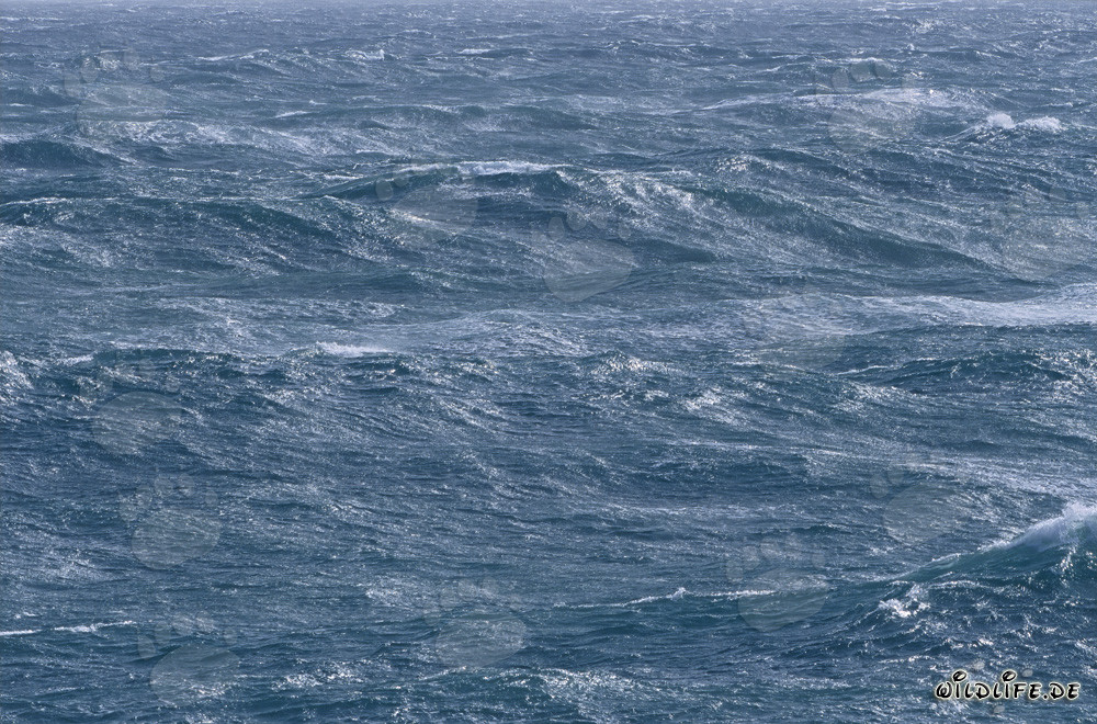 Tempête en mer au large du cap Agulhas