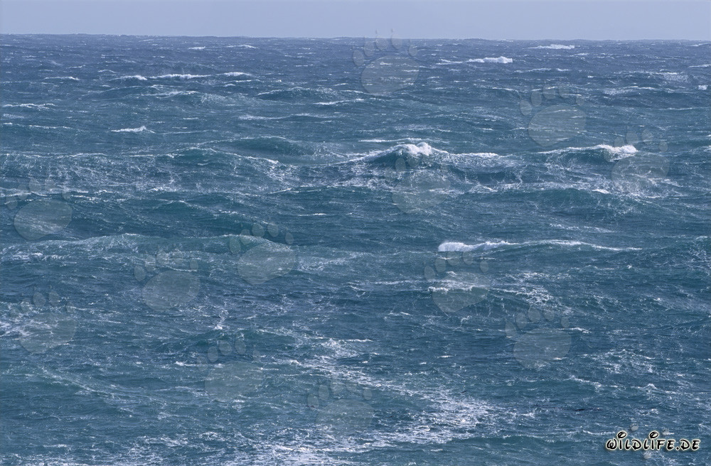 Storm at Cape Agulhas in South Africa - Dangers and Beauty of the Southernmost Tip of Africa