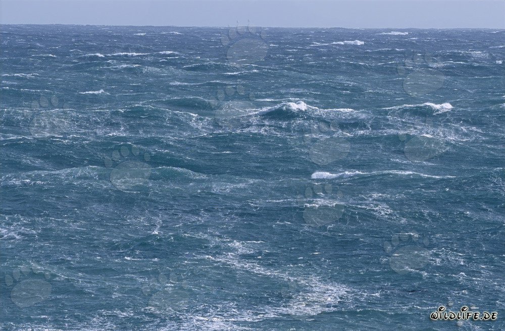 Sturm am Kap Agulhas in Südafrika - Gefahren und Schönheit der südlichsten Spitze Afrikas