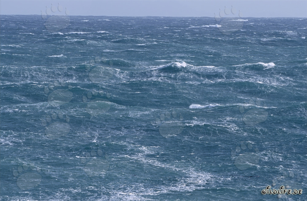 Tempesta al Capo Agulhas in Sudafrica - Pericoli e bellezza dell'estremità più a sud dell'Africa
