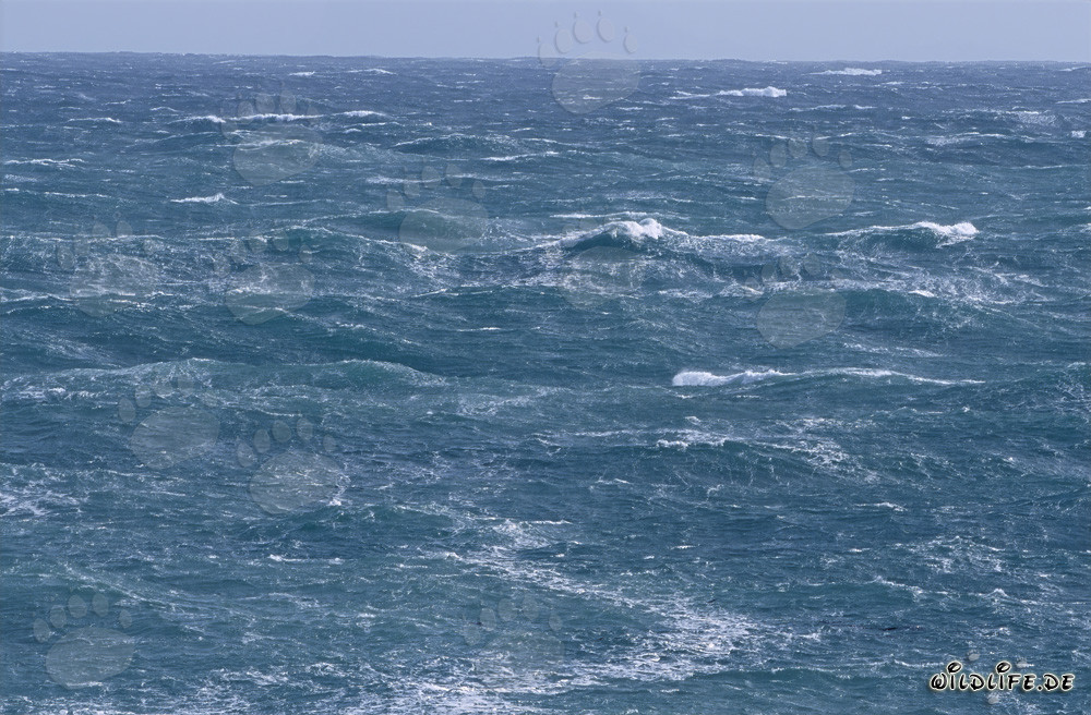 Tempête au Cap Agulhas en Afrique du Sud - Dangers et beauté de la pointe la plus au sud de l'Afrique