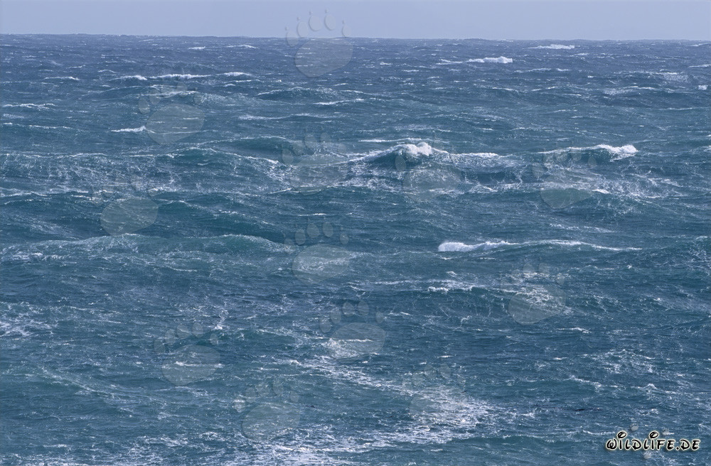 Tormenta en el Cabo de Agulhas en Sudáfrica - Peligros y belleza del extremo sur de África
