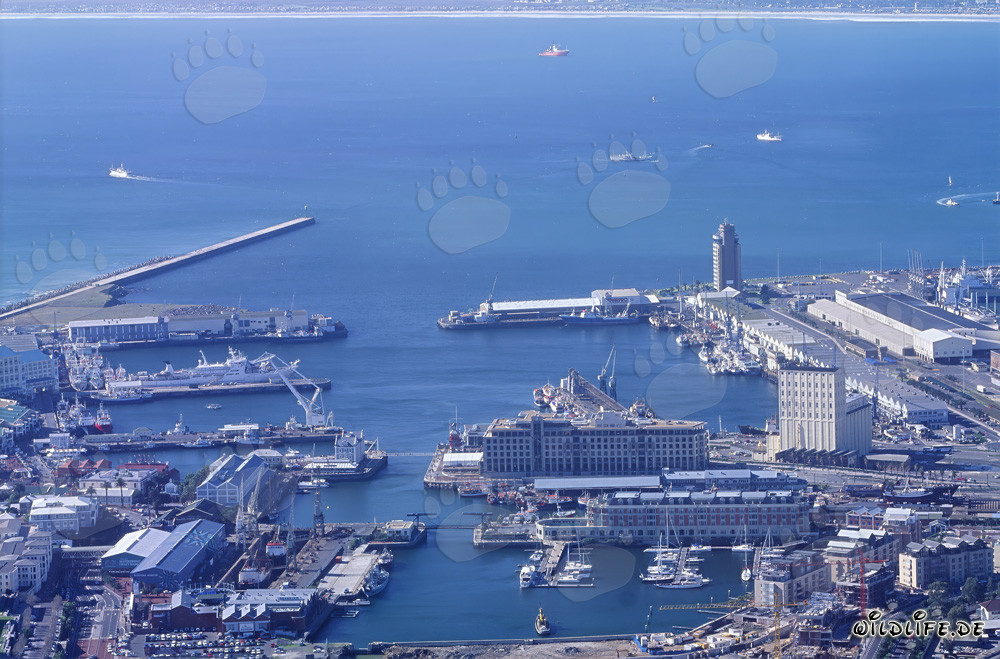 Città del Capo - La perla al Capo di Buona Speranza