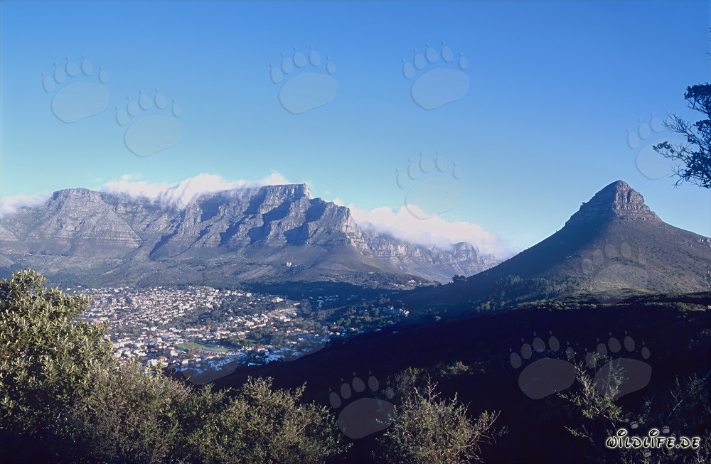 Le Cap - Vue sur la célèbre montagne de la Table en Afrique du Sud