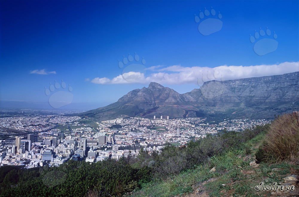 The majestic Table Mountain in Cape Town, South Africa
