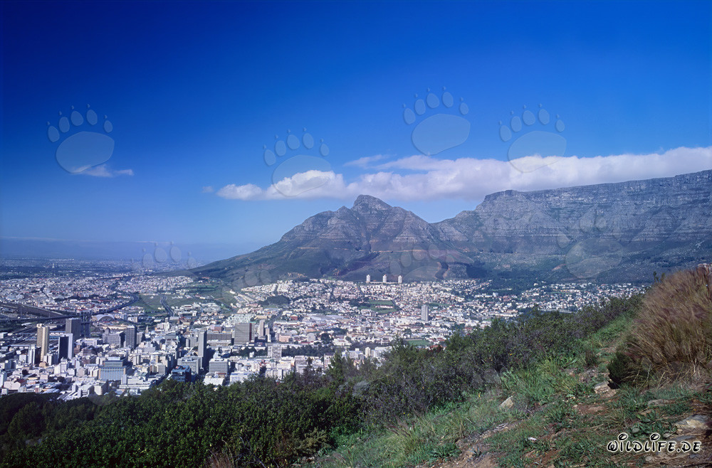 Il maestoso monte della Tavola a Città del Capo, Sudafrica