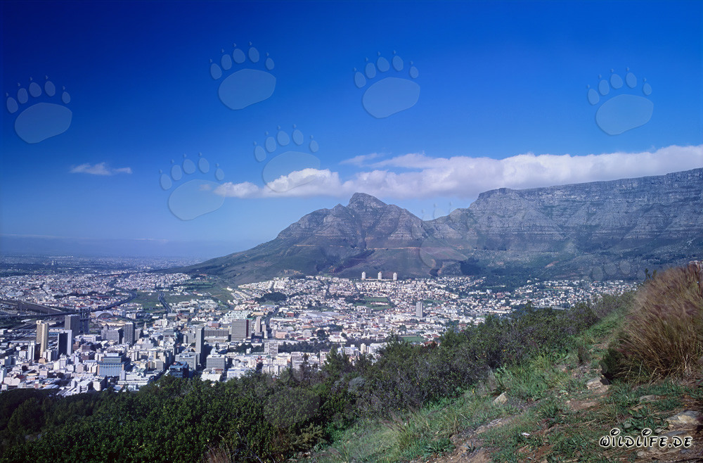 El majestuoso monte de la Mesa en Ciudad del Cabo, Sudáfrica