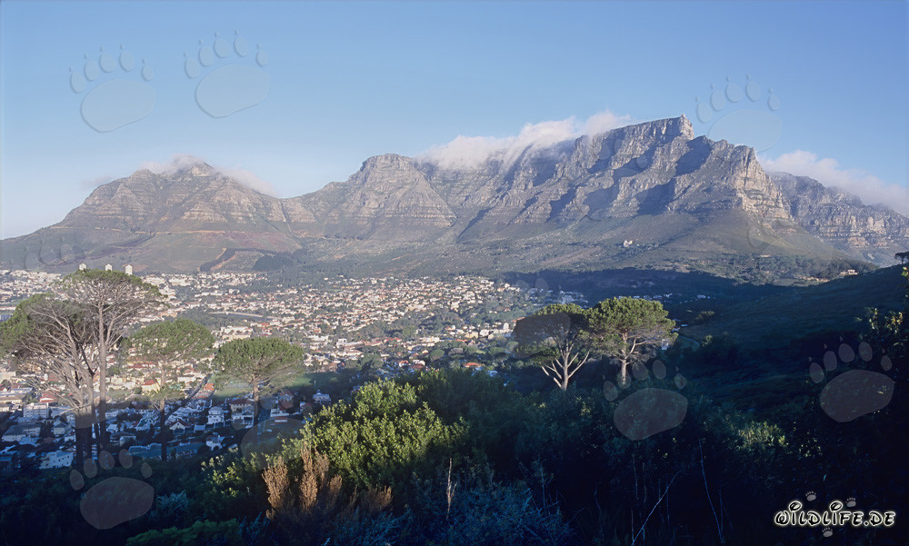 Magnifique paysage du Cap, Afrique du Sud