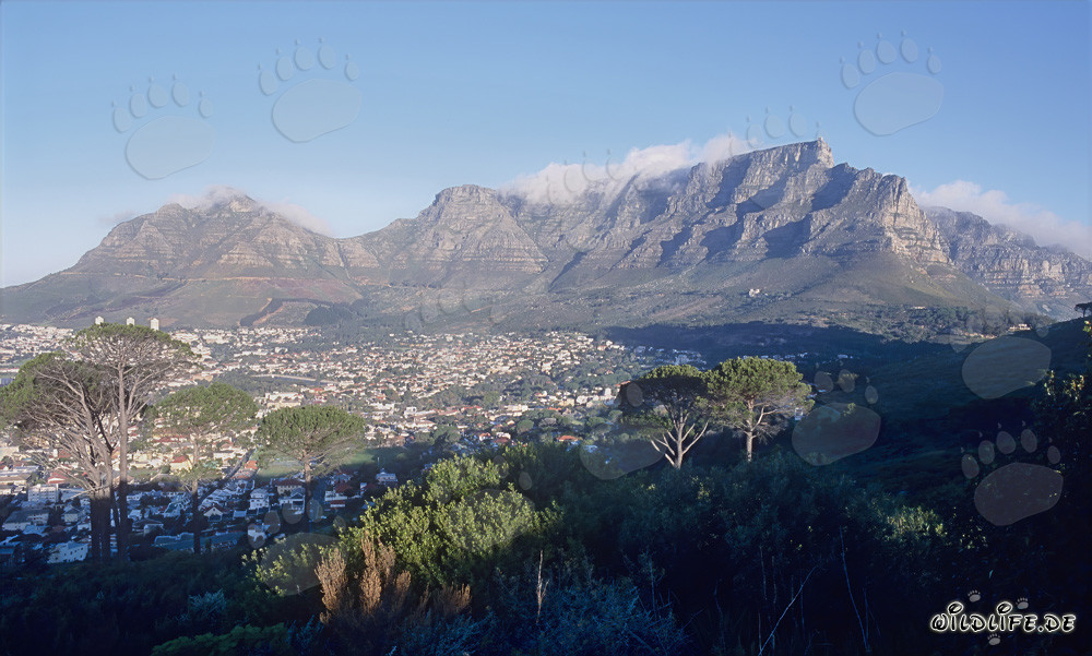 Beautiful Landscape of Cape Town, South Africa