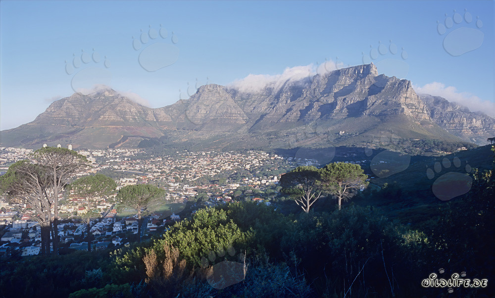 Bellissimo paesaggio di Città del Capo, Sudafrica