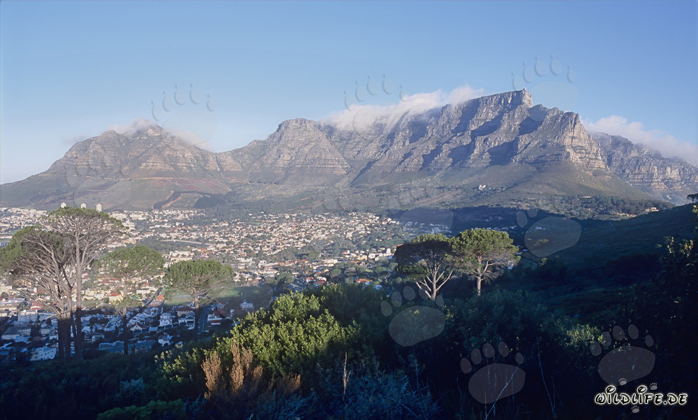 Wunderschöne Landschaft von Kapstadt, Südafrika