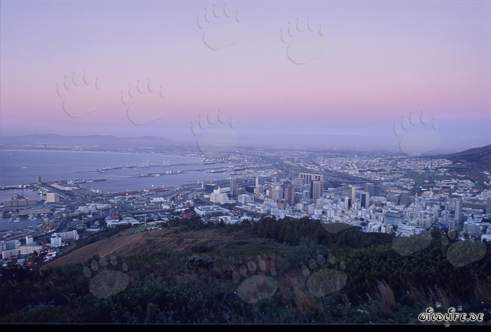 Impresionante vista de Ciudad del Cabo al atardecer