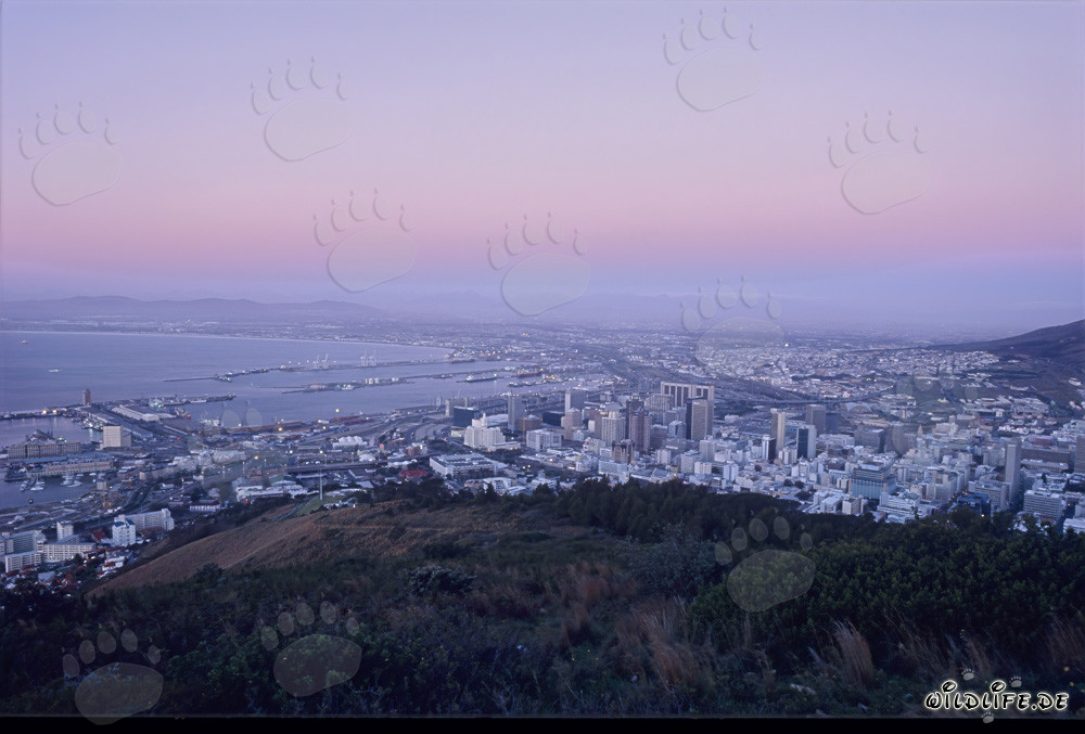 Vue magnifique sur Le Cap au coucher du soleil