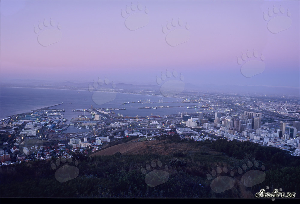 View of the Signal Hill on the Sea of lights of Cape Town city in sunset