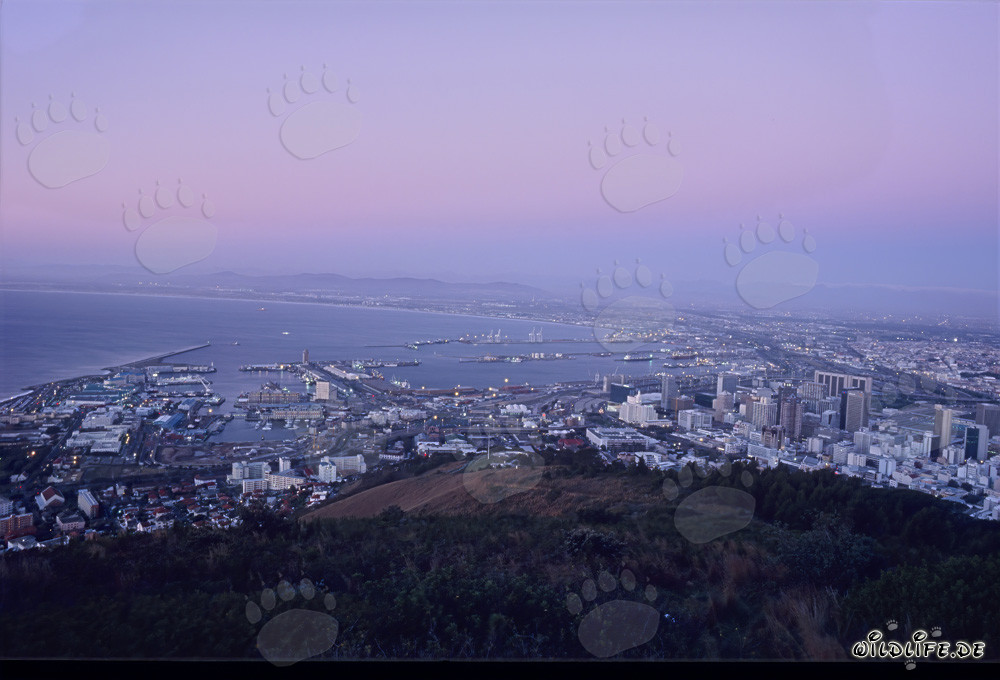 Vista desde Signal Hill de la mar de luces de Ciudad del Cabo al atardecer