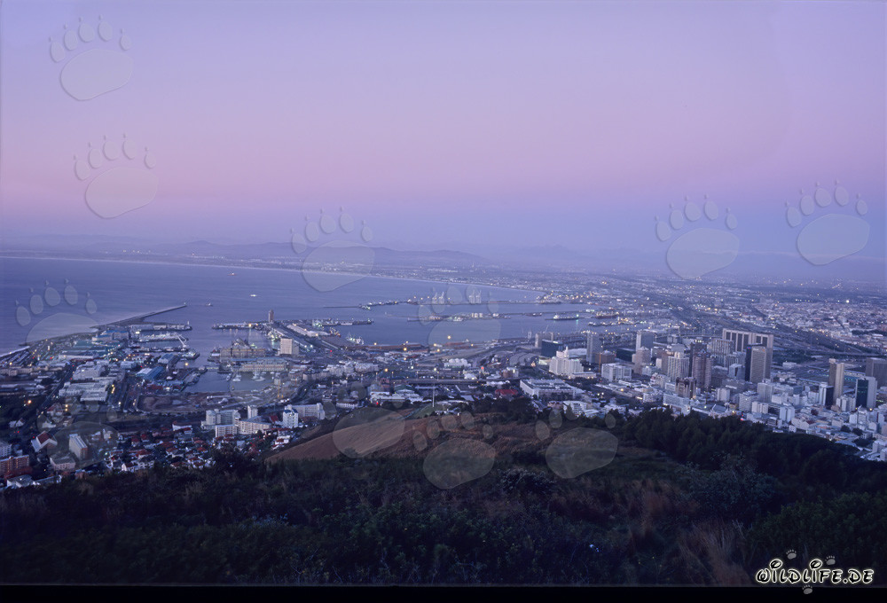 Blick vom Signal Hill auf das Lichtermeer von Kapstadt bei Sonnenuntergang