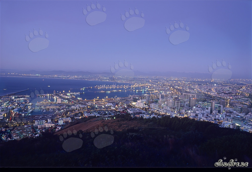 View of the Sea of Lights of Cape Town at spectacular sunset