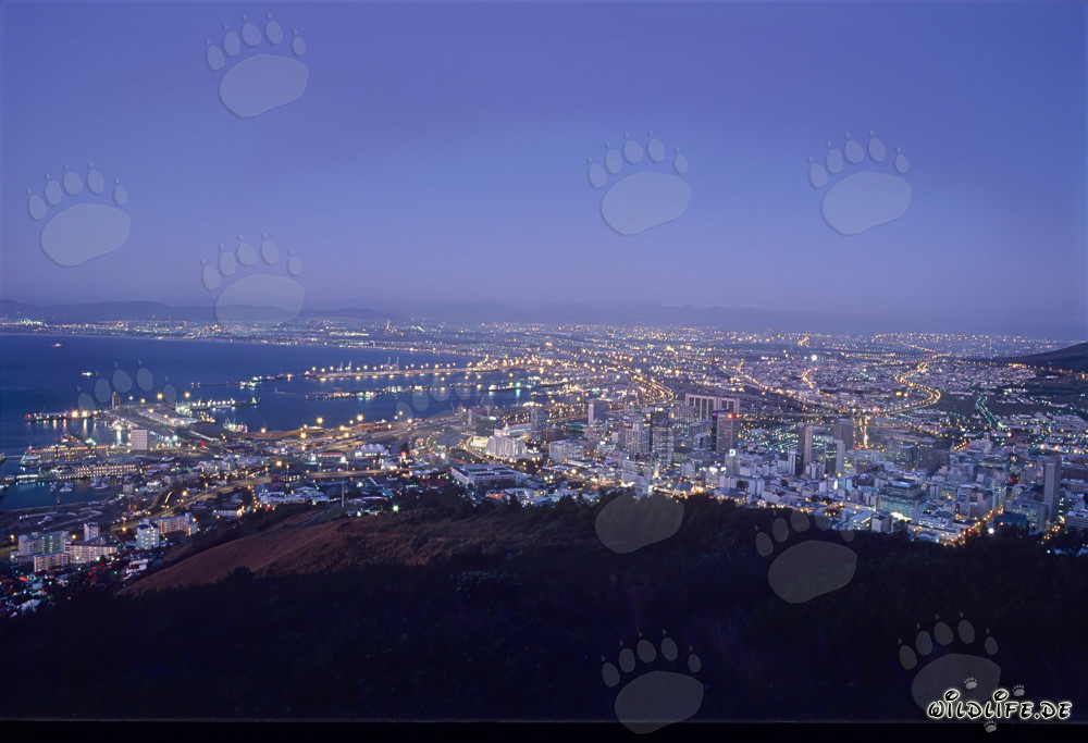 Vue depuis Signal Hill sur les lumières du Cap au coucher du soleil
