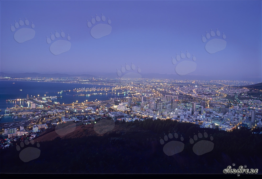 View of the Signal hill on the Sea of lights of Cape Town city in sunset