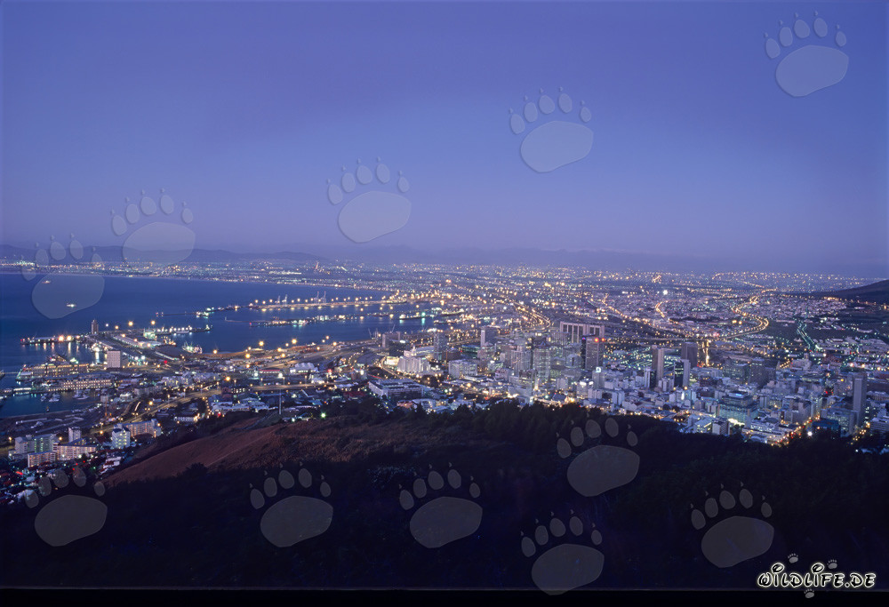 Vista desde Signal Hill de las luces de Ciudad del Cabo al atardecer