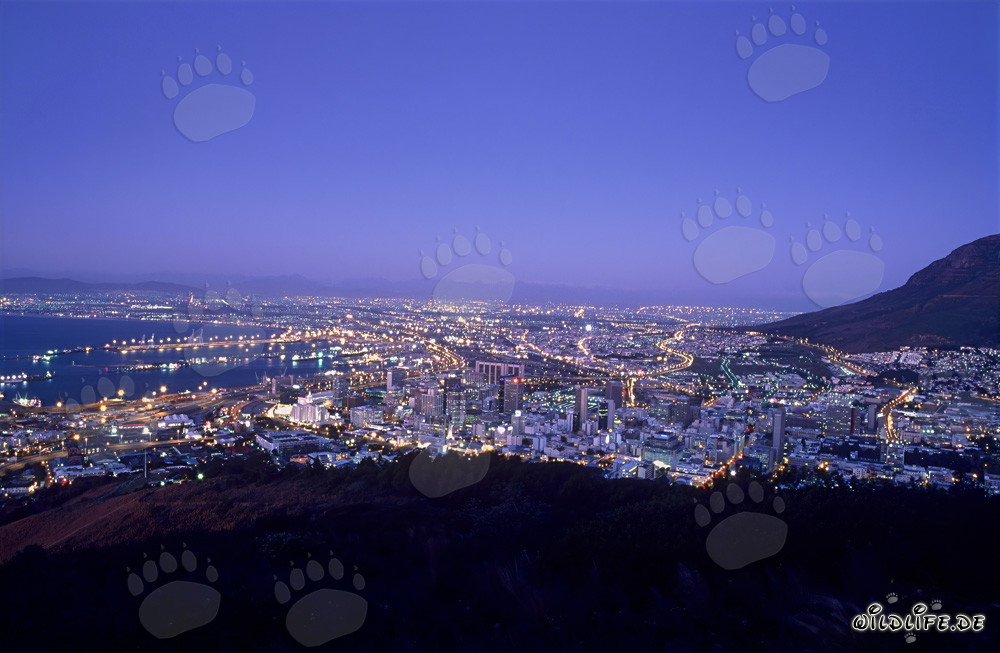 View of the Sea of Lights of Cape Town at Sunset
