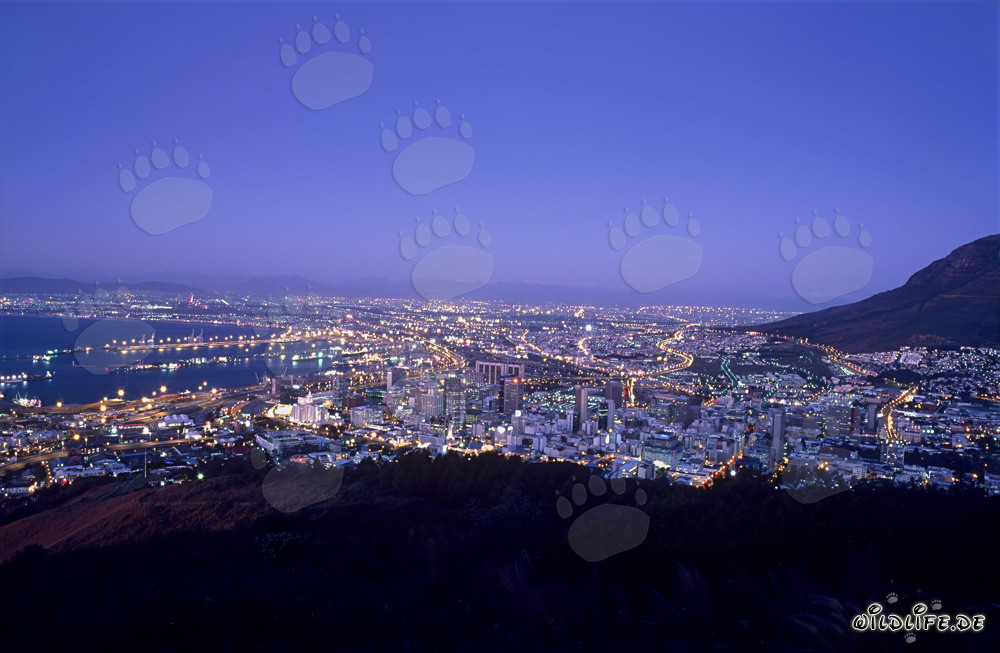 Vista del mar de luces de Ciudad del Cabo al atardecer