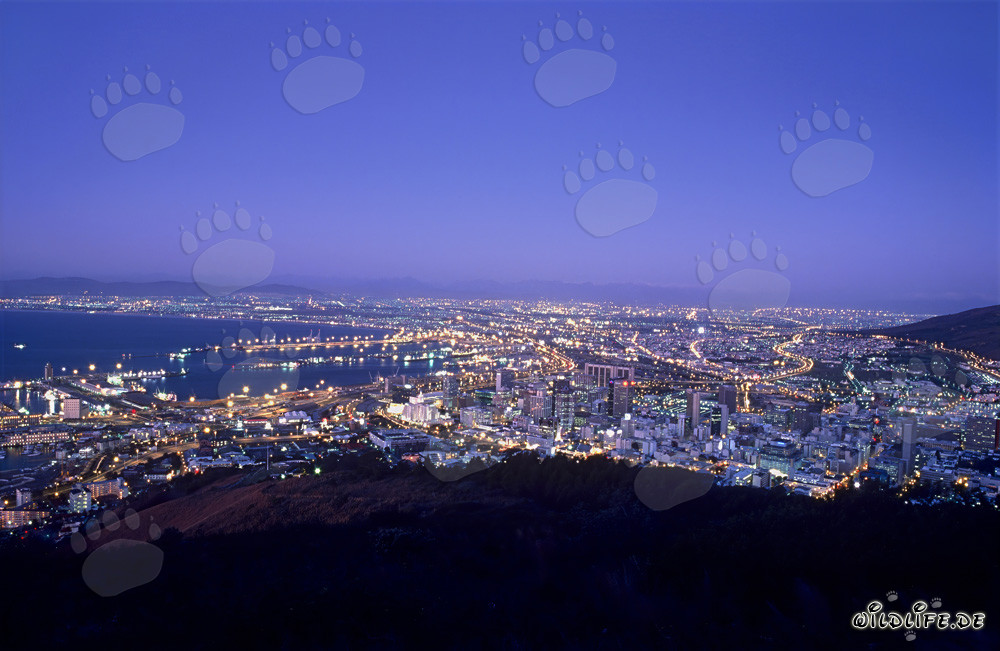 Vue depuis Signal Hill sur la mer de lumières du Cap à la tombée de la nuit
