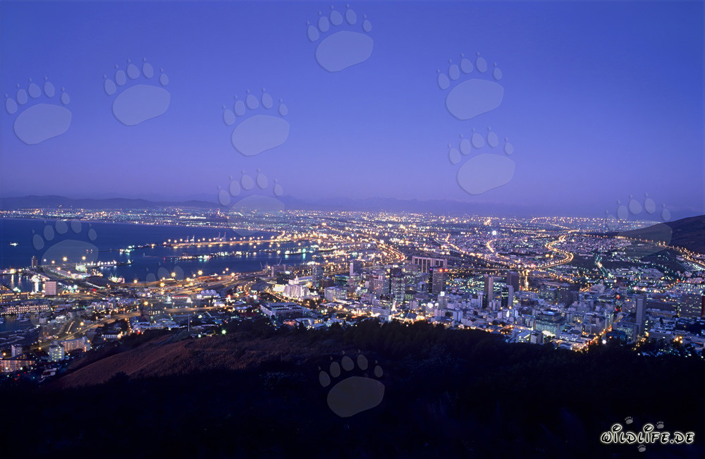 View of the Sea of Lights of Cape Town City at Sunset