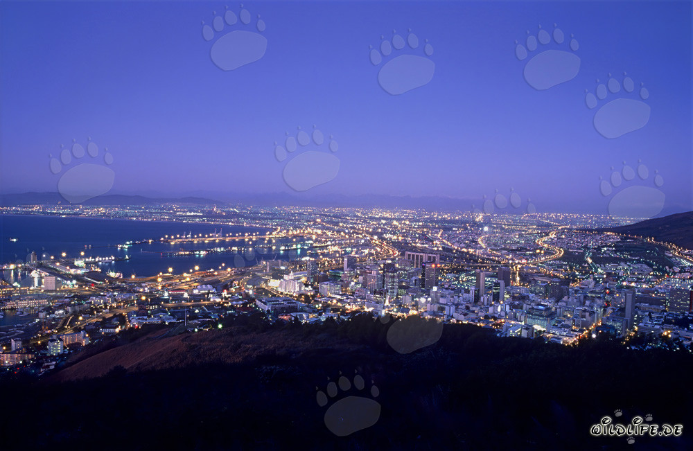 Vista desde Signal Hill del mar de luces de Ciudad del Cabo al atardecer