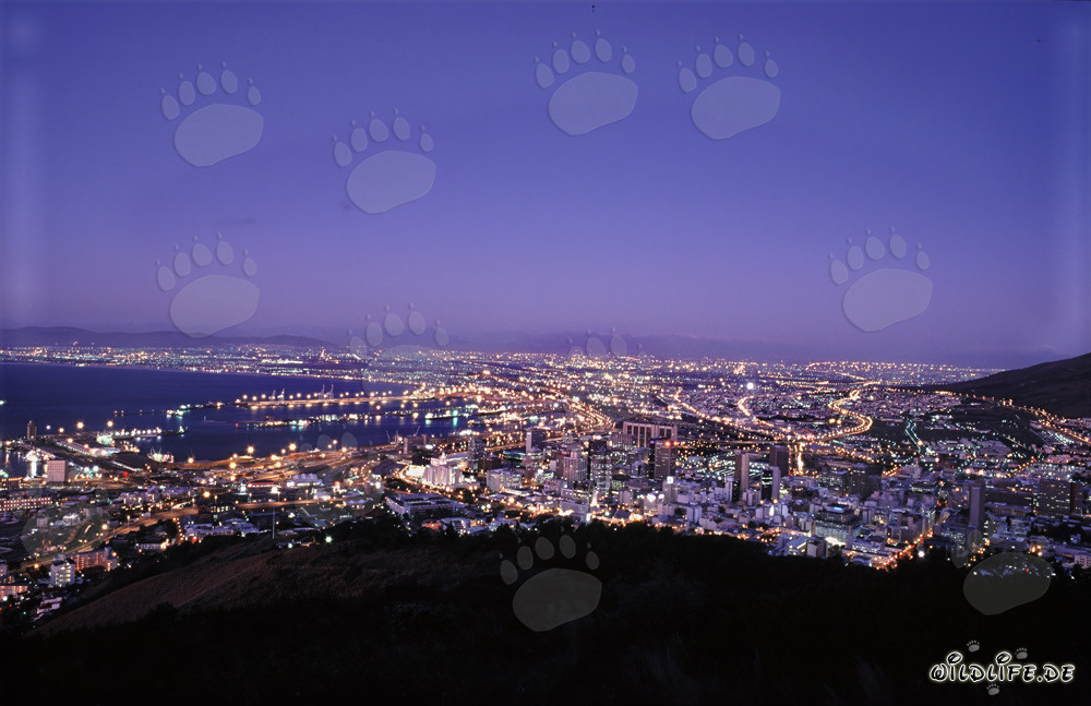 View of the Sea of lights of Cape Town city in sunset