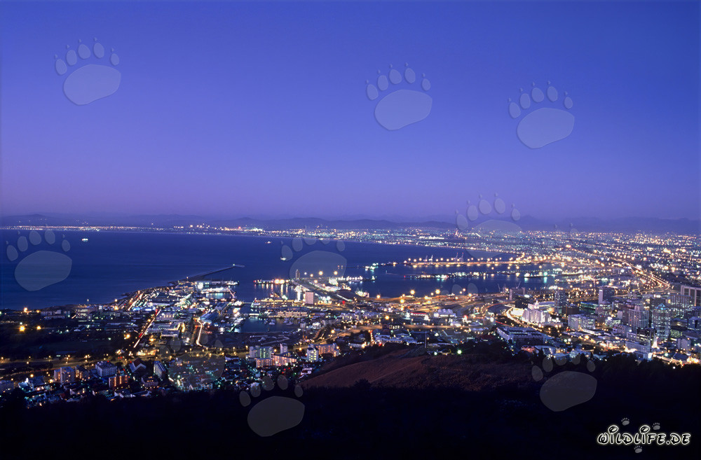 Cape Town magique : coucher de soleil sur la Mother City