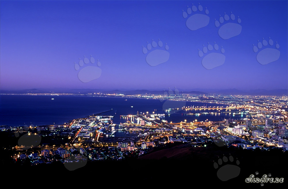View of the Sea of Lights of Cape Town at Sunset