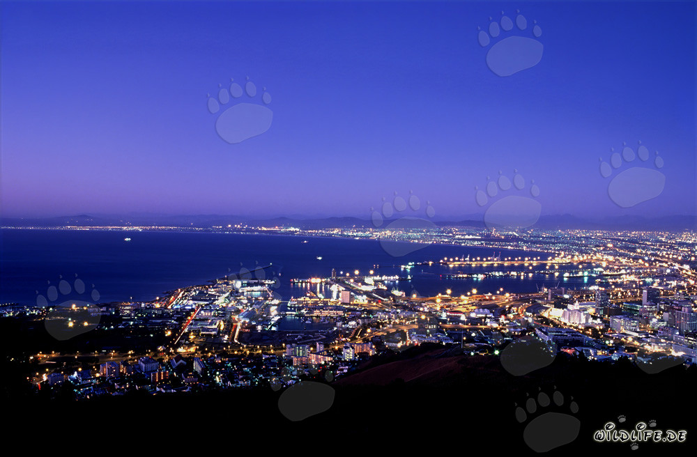 Vista sul mare di luci di Città del Capo al tramonto