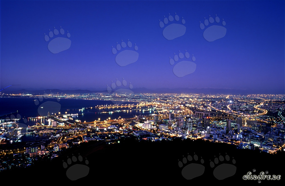 View of the Signal Hill on the Sea of lights of Cape Town city in sunset