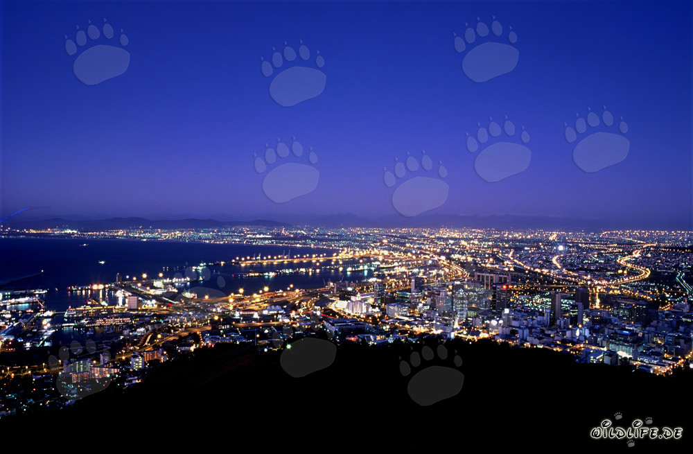 Vista desde Signal Hill de la mar de luces de Ciudad del Cabo al atardecer