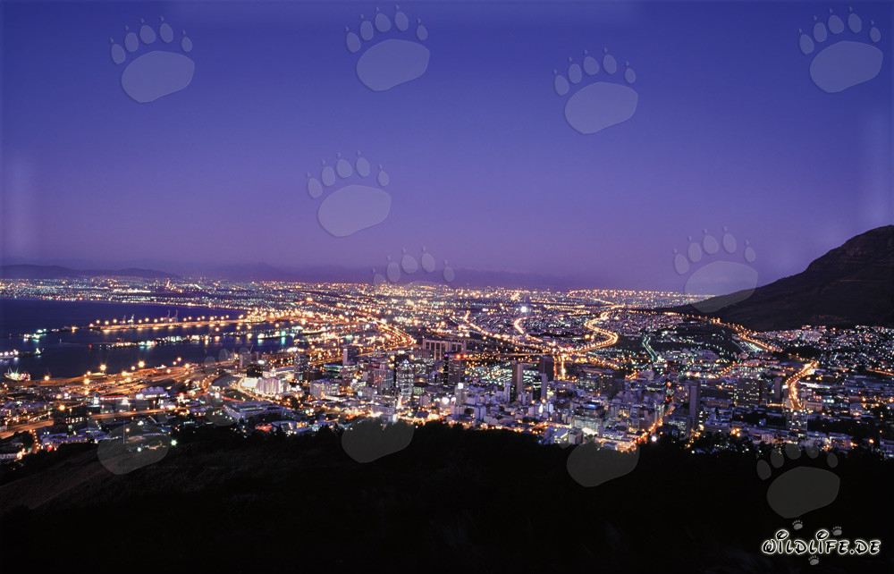 Cape Town in the Golden Evening Light - Travel Destination in South Africa