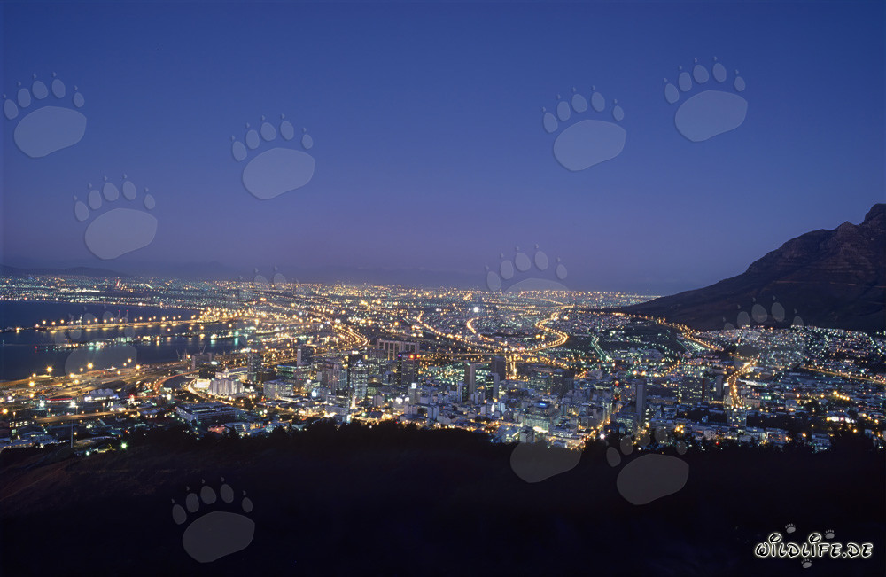 View of the Signal Hill on the Sea of lights of Cape Town city in sunset