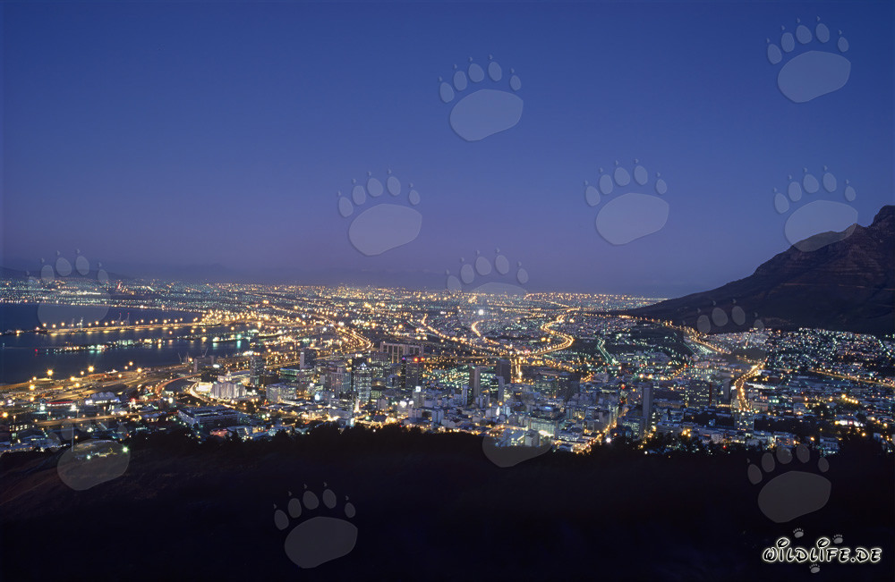 Vista desde Signal Hill del mar de luces de Ciudad del Cabo al atardecer