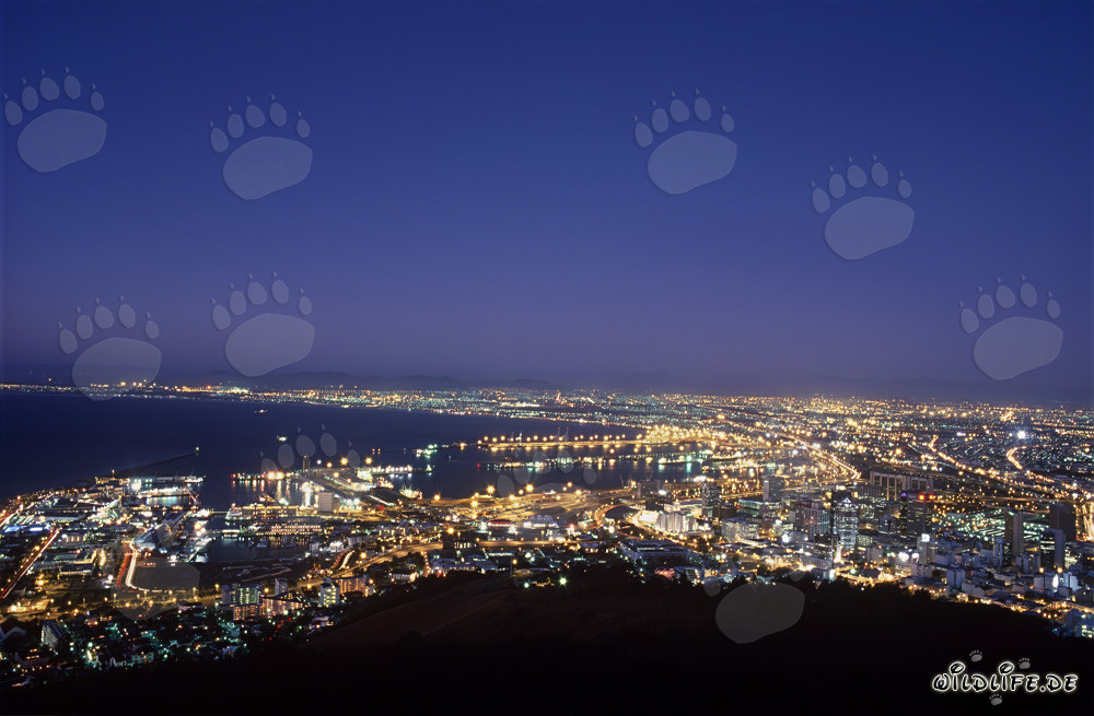 View of the Signal hill on the Sea of lights of Cape Town city in sunset