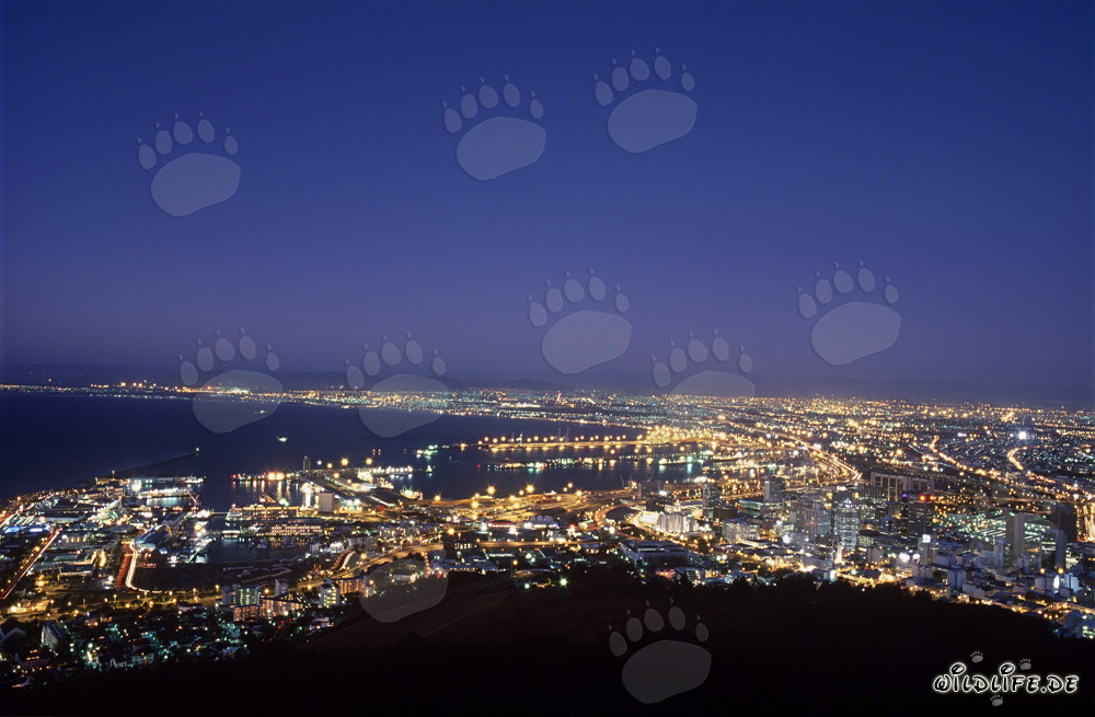 Vista desde Signal Hill del mar de luces de Ciudad del Cabo al atardecer