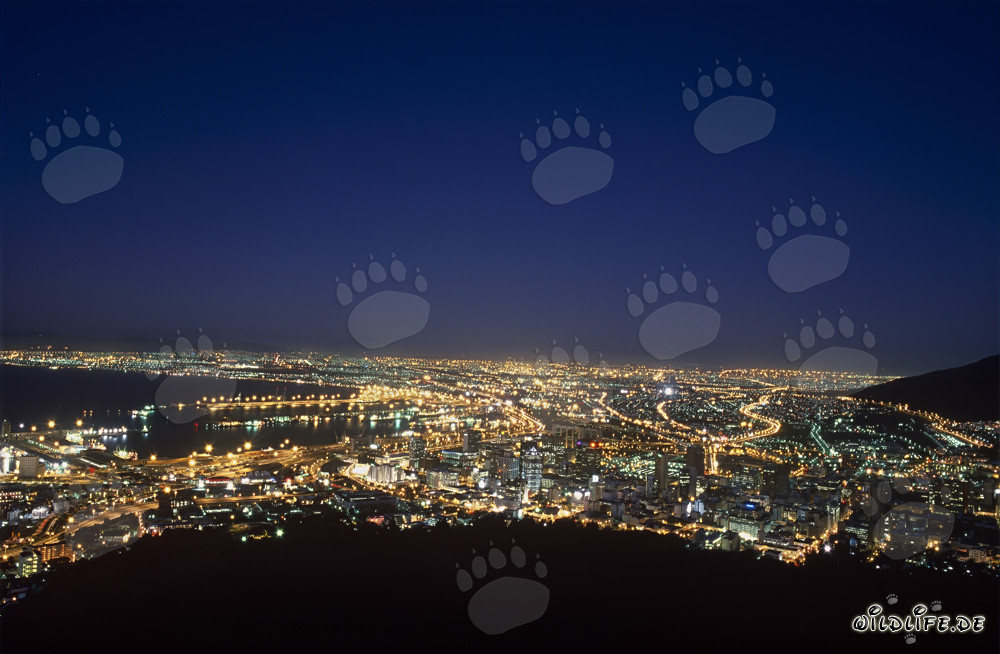 View of the Signal hill on the Sea of lights of Cape Town city in sunset