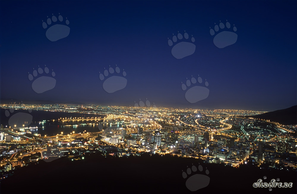 Vista desde Signal Hill del mar de luces de Ciudad del Cabo al atardecer