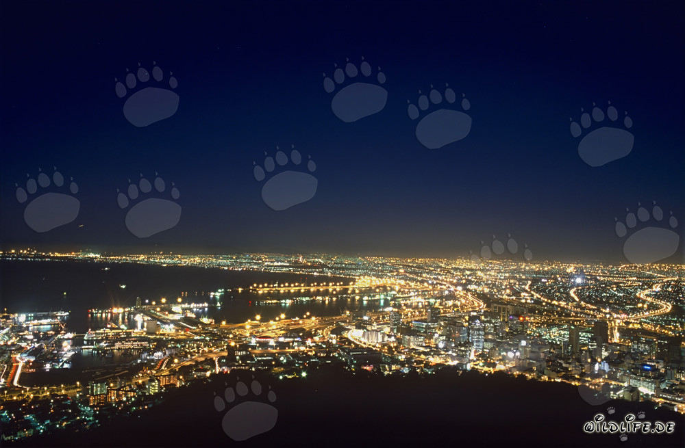 View of the Sea of lights of Cape Town city in sunset