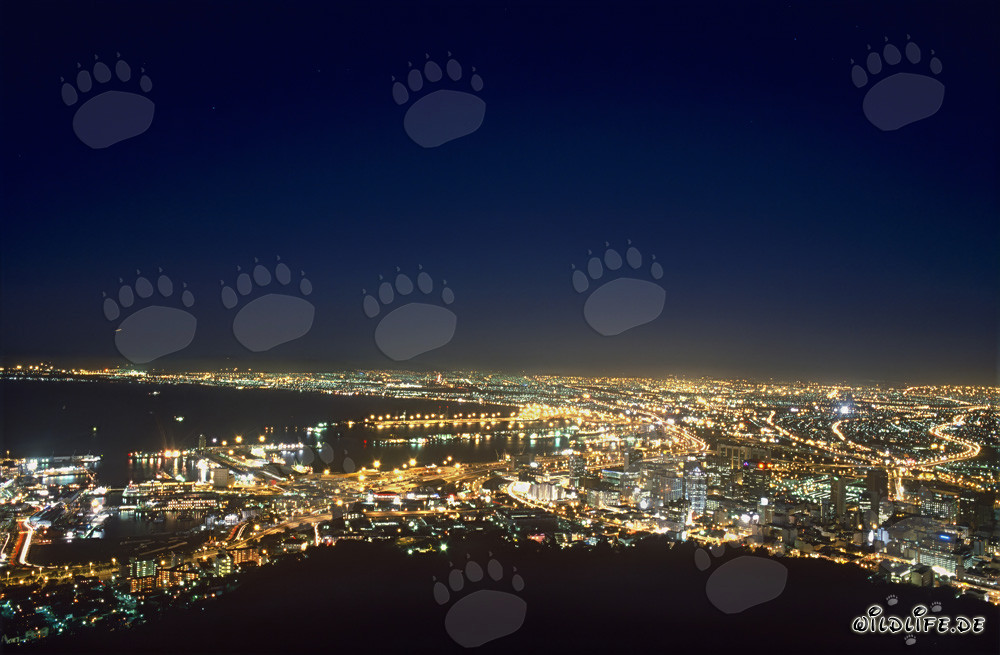 Vista del mar de luces de Ciudad del Cabo al atardecer