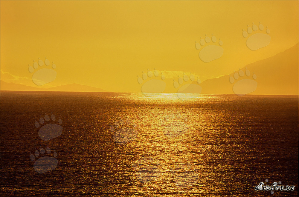 Coucher de soleil fascinant à la pittoresque baie de Walker en Afrique du Sud