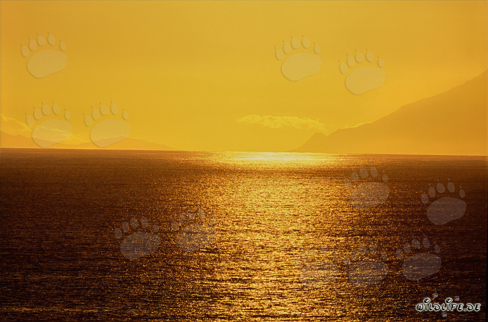 Faszinierender Sonnenuntergang an der malerischen Walker Bay in Südafrika