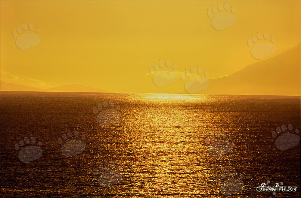 Fascinating Sunset at the Picturesque Walker Bay in South Africa