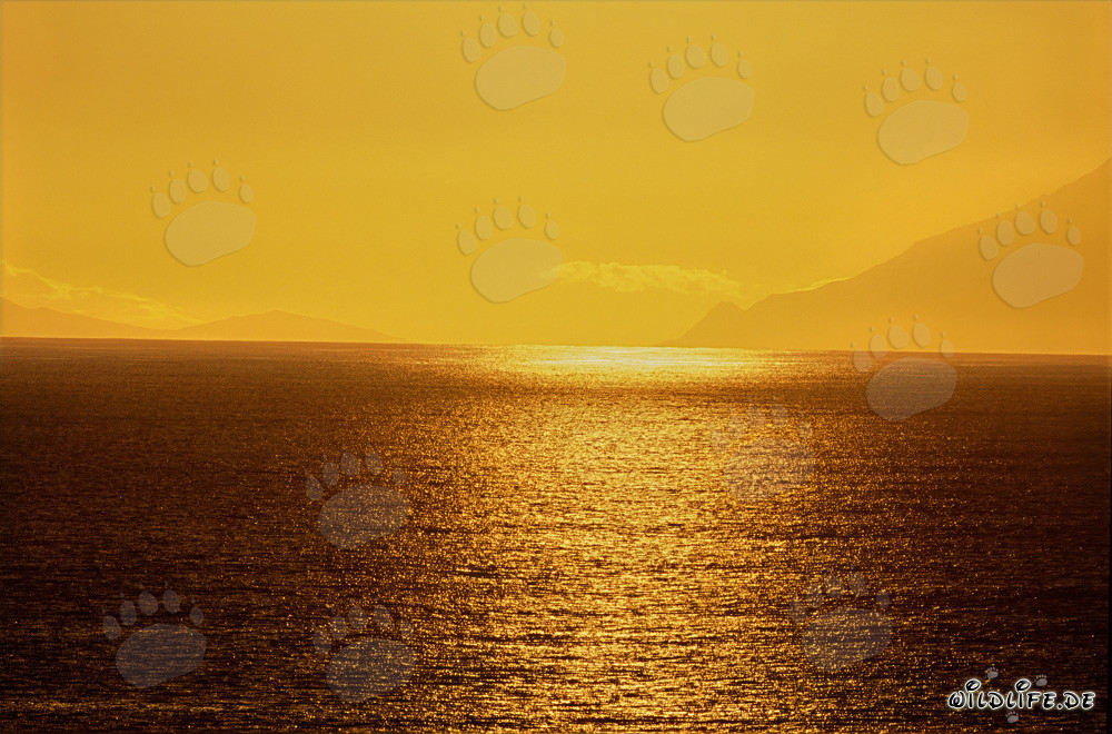 Fascinante tramonto nella pittoresca baia di Walker in Sudafrica